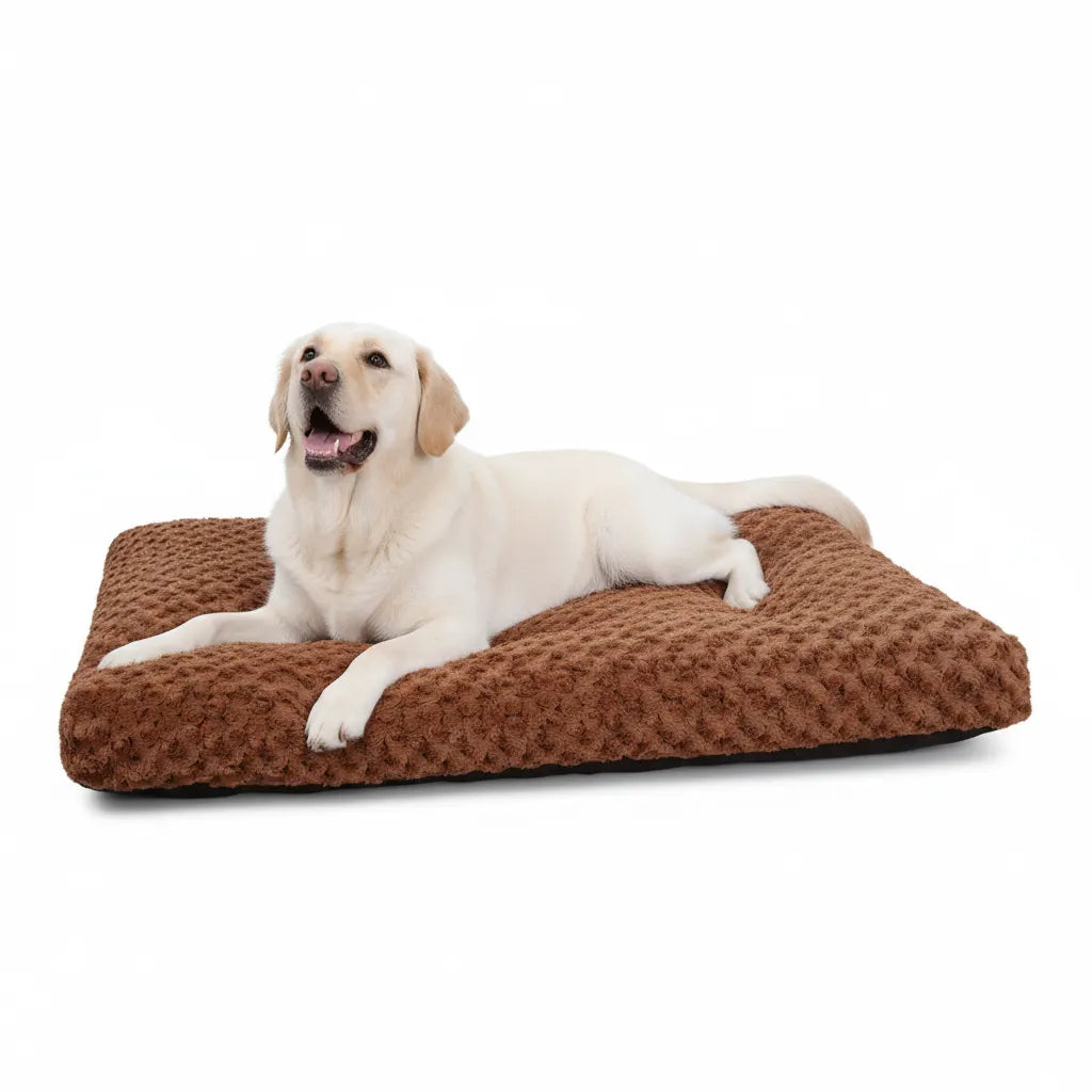 Swirled Plush Dog Bed for Medium & Large Dogs