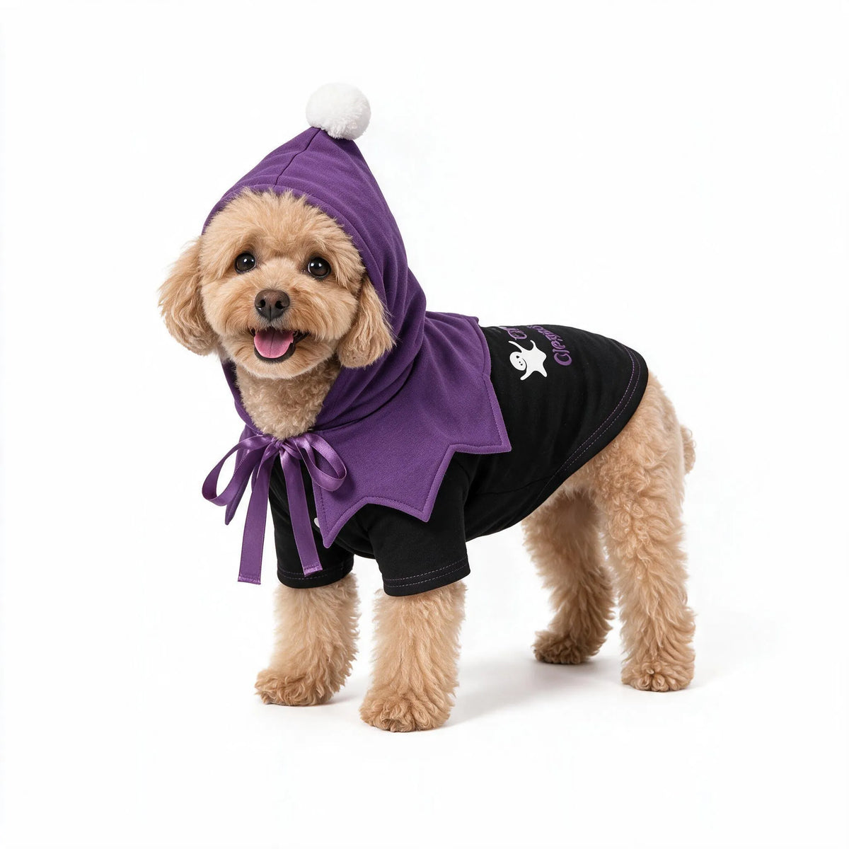 Cute Halloween Dog Hoodie Outfit for Small Dogs & Cats
