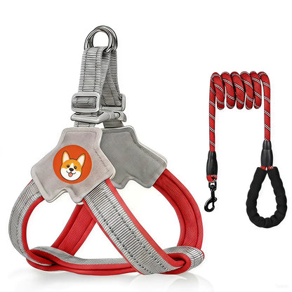 Reflective Dog Harness and Leash Set for Small & Medium Dogs