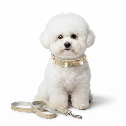 Stylish Crystal Dog Collar and Leash Set