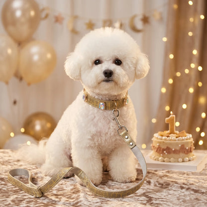 Stylish Crystal Dog Collar and Leash Set