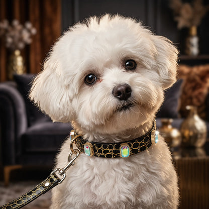 Stylish Crystal Dog Collar and Leash Set