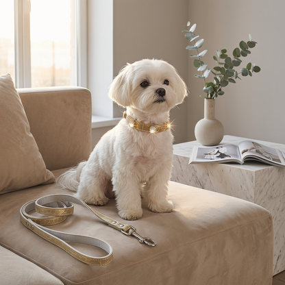 Stylish Crystal Dog Collar and Leash Set