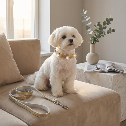 Stylish Crystal Dog Collar and Leash Set