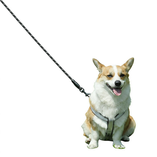 Reflective Dog Harness and Leash Set for Small & Medium Dogs
