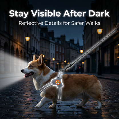 Reflective Dog Harness and Leash Set for Small & Medium Dogs