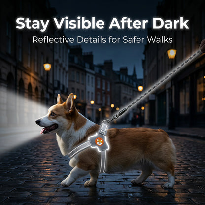 Reflective Dog Harness and Leash Set for Small & Medium Dogs