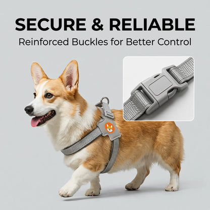 Reflective Dog Harness and Leash Set for Small & Medium Dogs