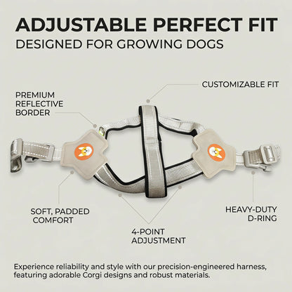 Reflective Dog Harness and Leash Set for Small & Medium Dogs