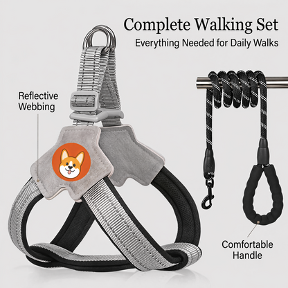 Reflective Dog Harness and Leash Set for Small & Medium Dogs