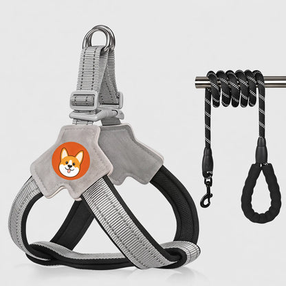 Reflective Dog Harness and Leash Set for Small & Medium Dogs