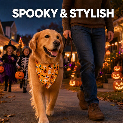 3 piece halloween dog bandana set