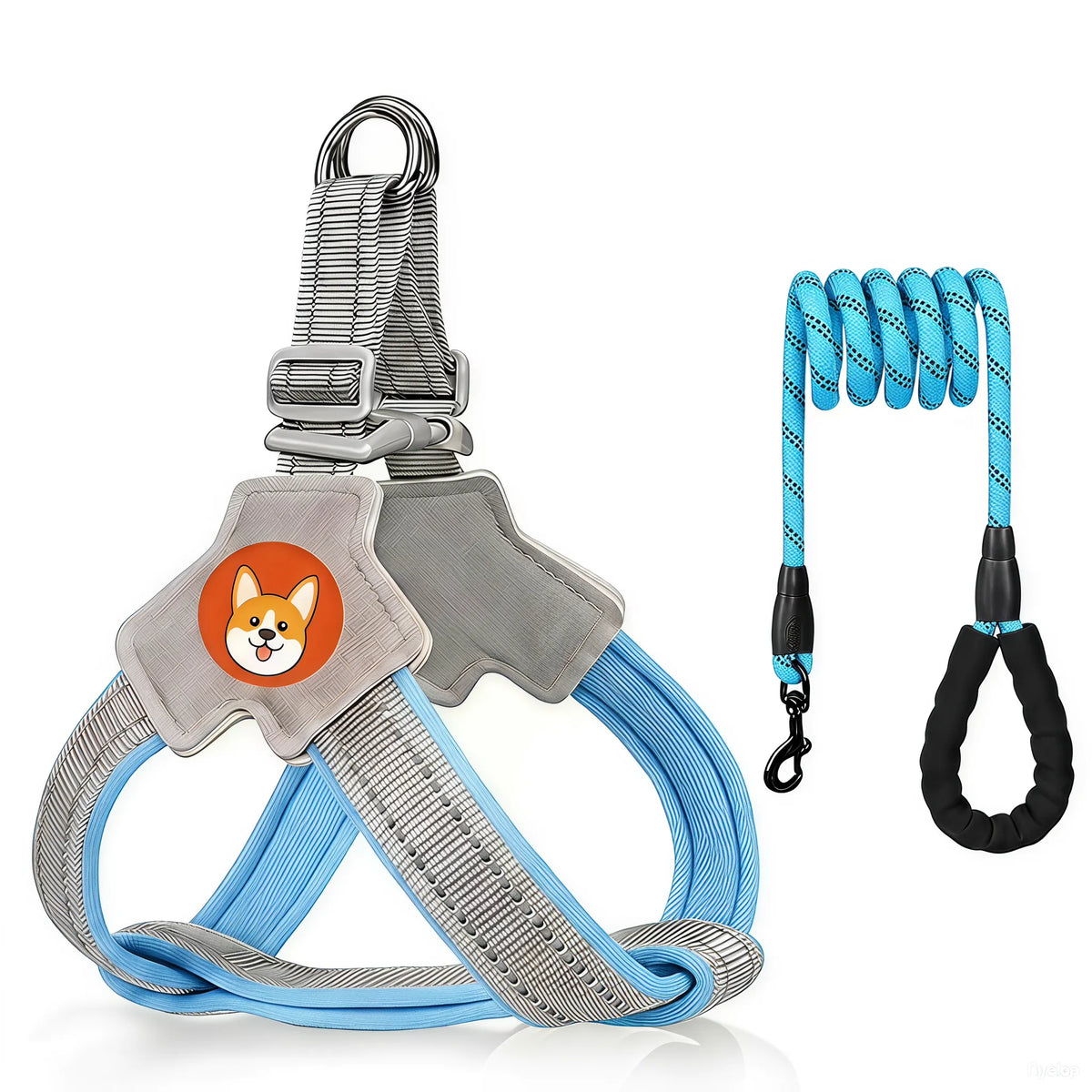 Reflective Dog Harness and Leash Set for Small & Medium Dogs