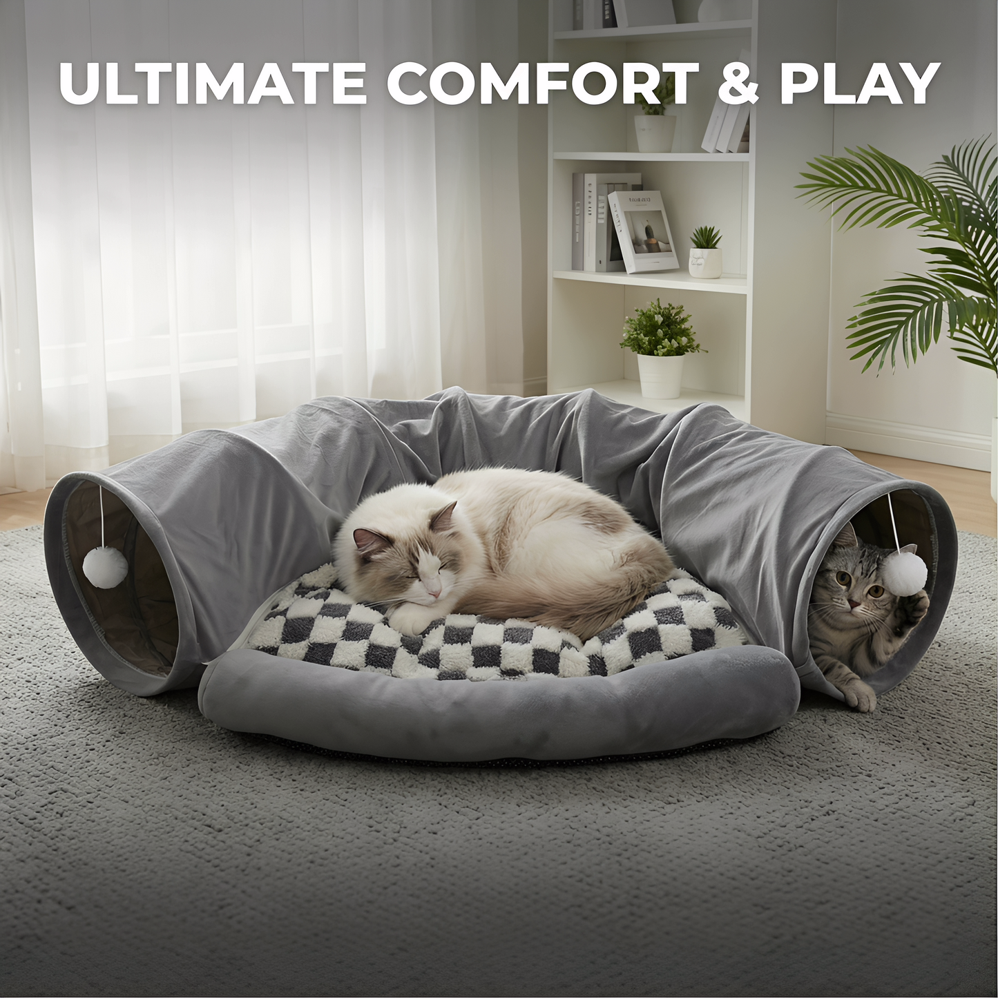 cat tunnel with toy balls