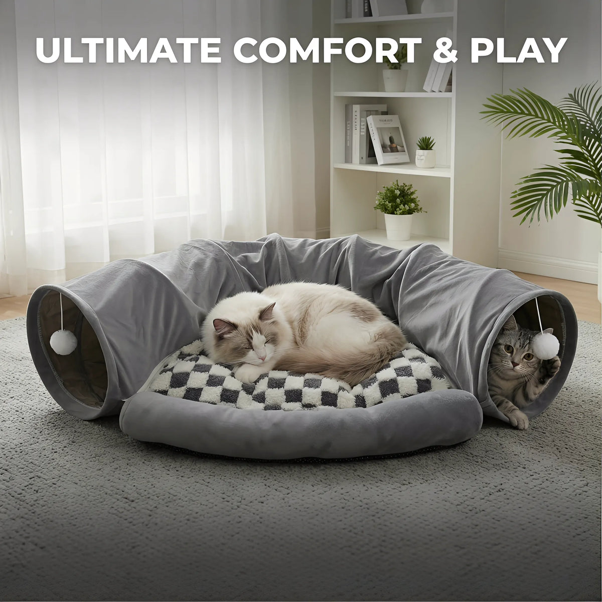 cat tunnel with toy balls