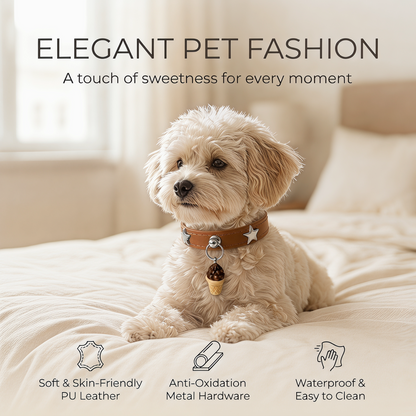 Stylish Star Pet Collar for Cats & Small Dogs