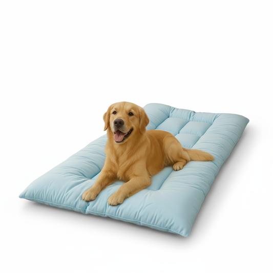 🐾Soft, Spacious & Modern: The All-in-One Dog Bed