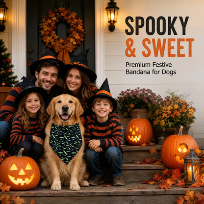 halloween dog bandana set