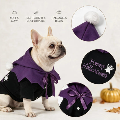 orange halloween dog hoodie outfit
