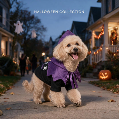 small dog wearing halloween hoodie outfit