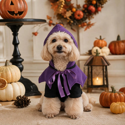 soft polyester halloween dog clothes