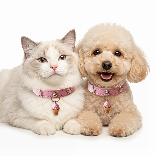 Stylish Star Pet Collar for Cats & Small Dogs